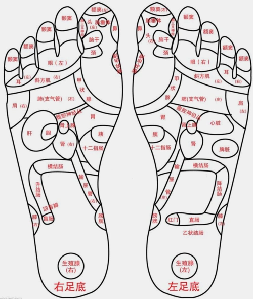 脚底穴道位置图