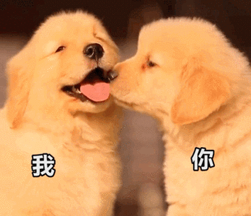 狗狗亲亲 gif 表情包_gif_狗狗_亲亲表情