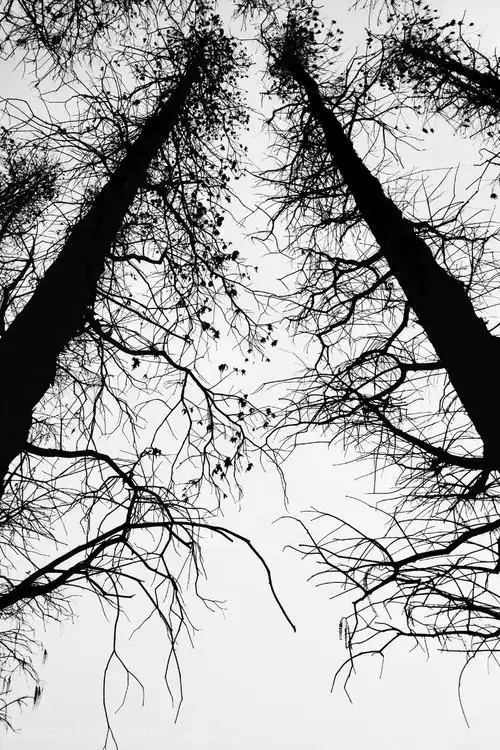 一组唯美意境的黑白胶片美图,你值得收藏