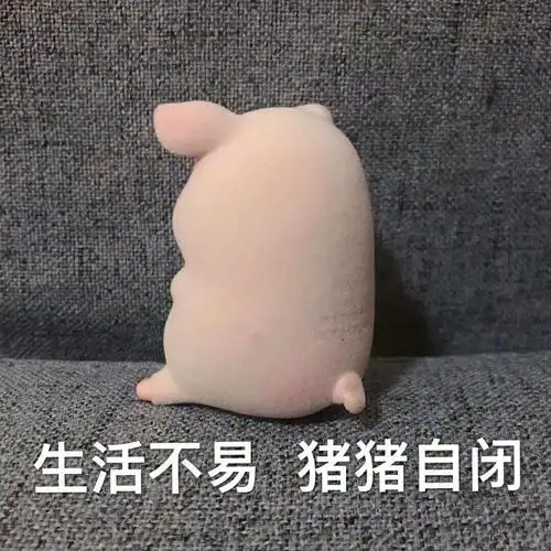 朋友圈文案配图表情包可爱的猪猪女孩