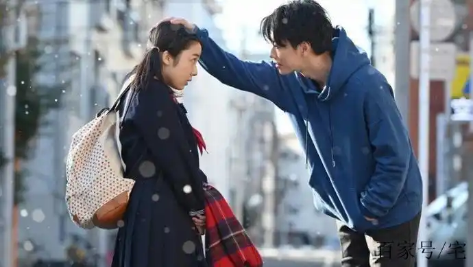 好看日本治愈系爱情电视剧《将恋爱进行到底》