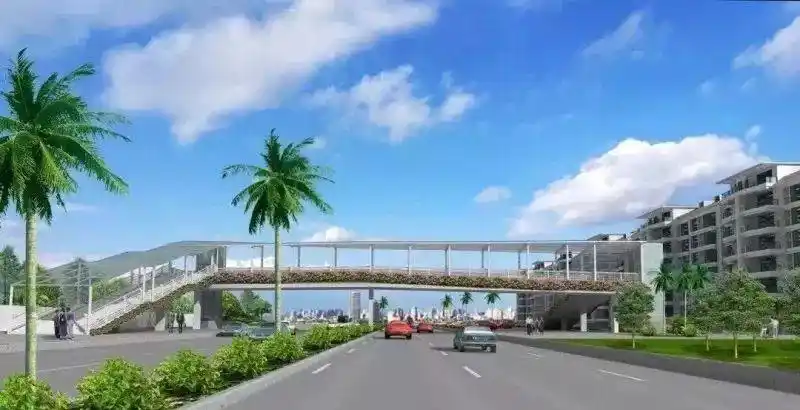 好期待三水第一座带3d图案的人行天桥将面世啦