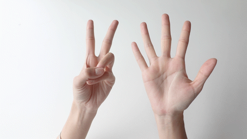 05ov互换:左手o的手势,右手v的手势,左手v的手势,右手o的手势.