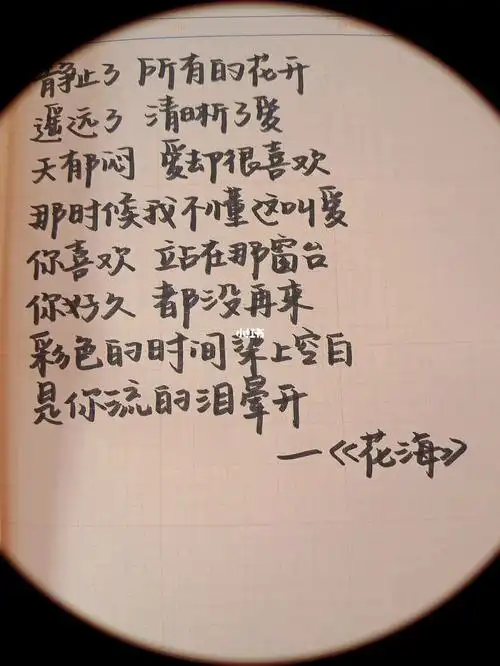 花海  #热门歌曲  #每日手写  #周杰伦花海