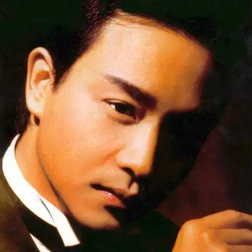 说实话我都不知道什么时候张国荣这个名字在我心中有了这么大的份量