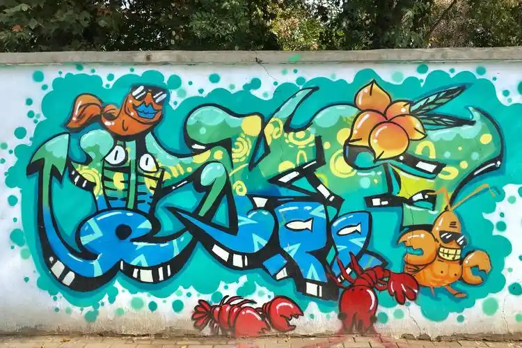 街头涂鸦(04)【湖北 武汉 华中农业大学(校园-2)】|华中农业大学|涂鸦