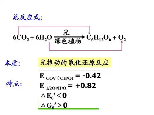 植物生理学光合作用课件ppt