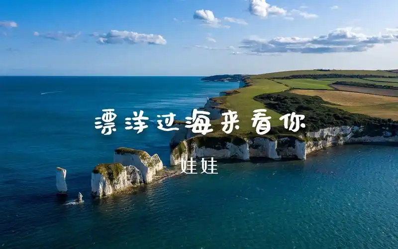 娃娃漂洋过海来看你华语经典老歌网友评论