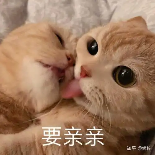 向老公撒娇表情包情侣