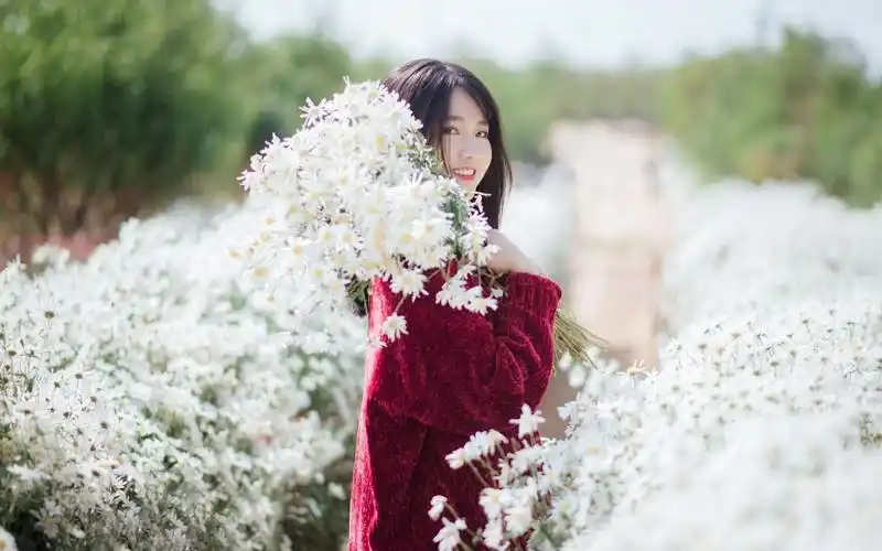 唯美小清新长发白嫩美女雏菊花田写真