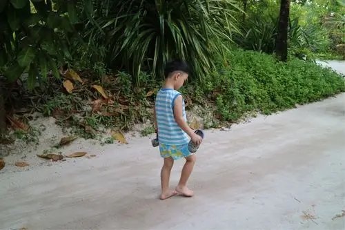 四(5)班樊一宁暑假愉快生活之:做一只马尔代夫的寄居蟹(一)到达篇