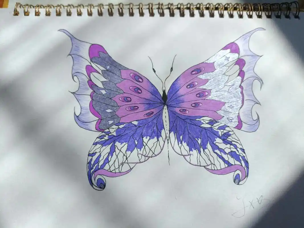 手绘蝴蝶#原创 让梦中的蝶换化成你心上的紫色图腾 - 抖音