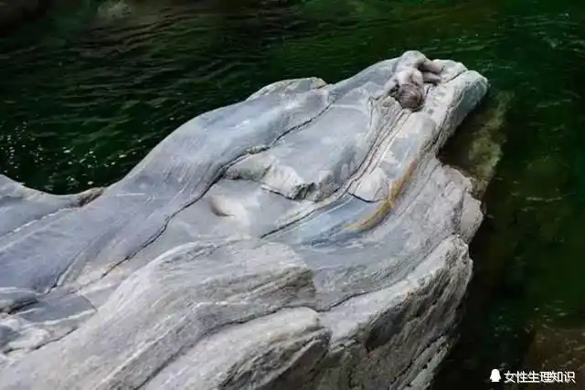 小编推荐 以下是小编为大家挑选的2016年最火的qq订阅号