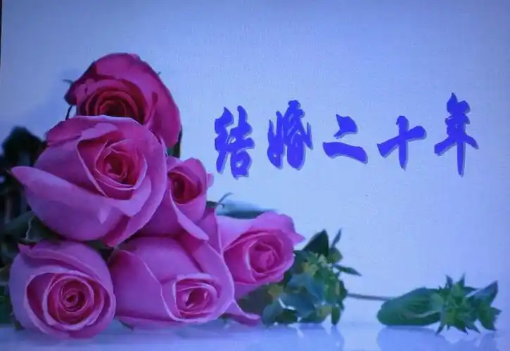 结婚二十年