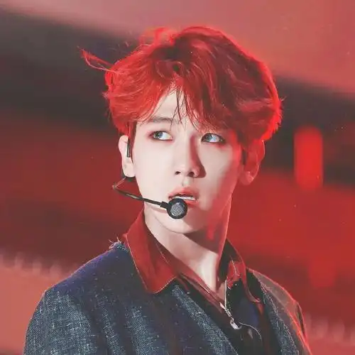 爱豆头像exo边伯贤