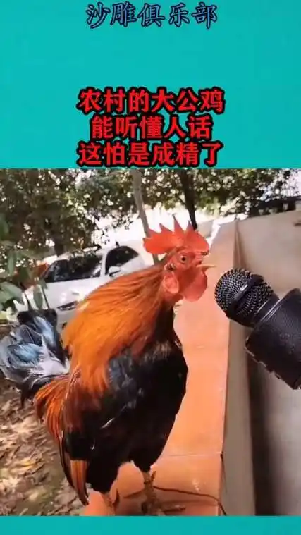 搞笑图片素材在线制作搞笑动态表情包gif搞笑gif表情包花开富贵搞笑