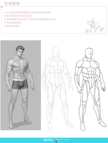 动漫插画之男性人体肌肉解析