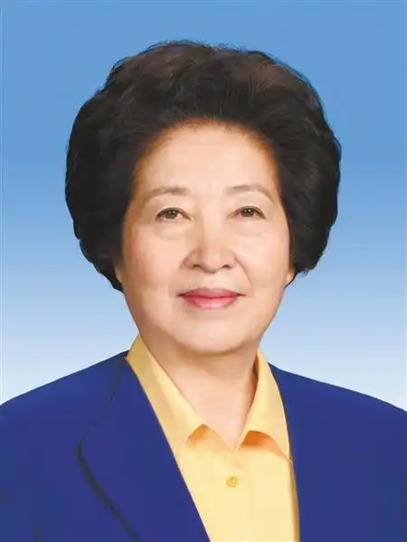 国务院副总理简历