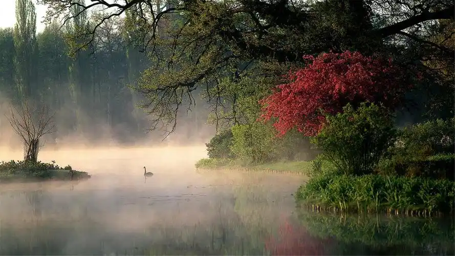 大自然风景高清桌面壁纸高清大图预览1920x1080_风景壁纸下载_美桌网