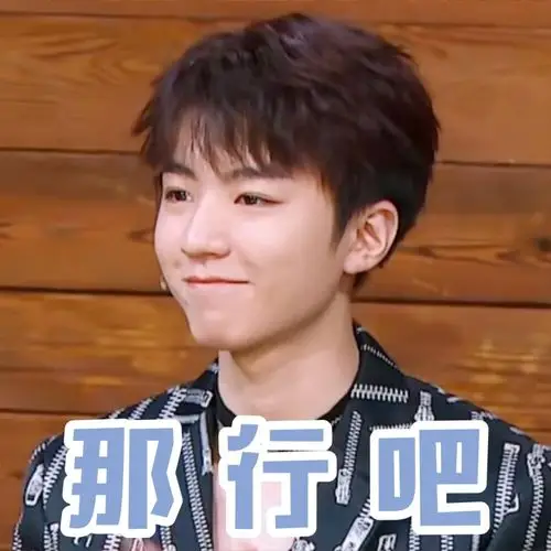 王俊凯表情包