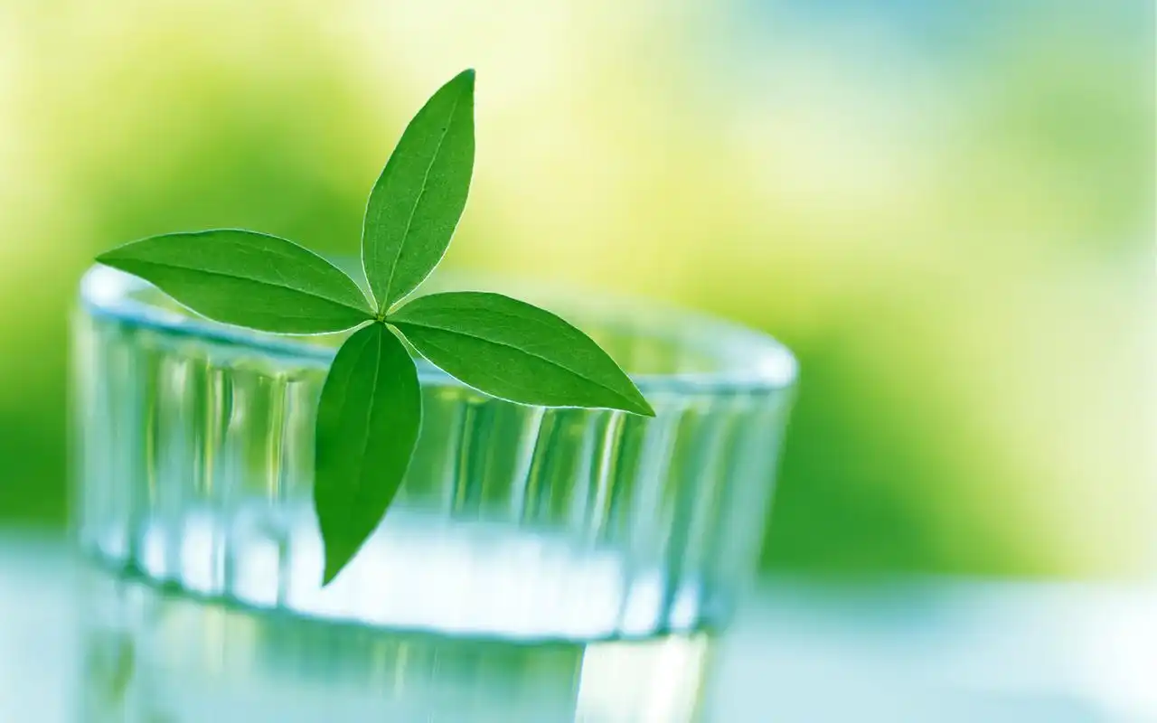 唯美清新绿色护眼高清桌面壁纸高清大图预览1920x1080_植物壁纸下载