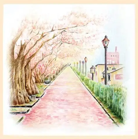 彩铅风景《樱花遍地》彩铅风景小幅彩铅星空与树樱花树街道花瓣飘落