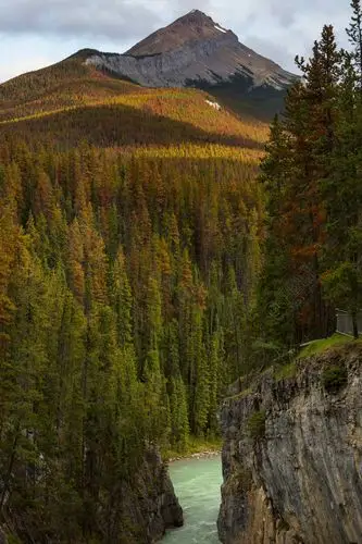 夏季加拿大落基山脉风景如画的山景