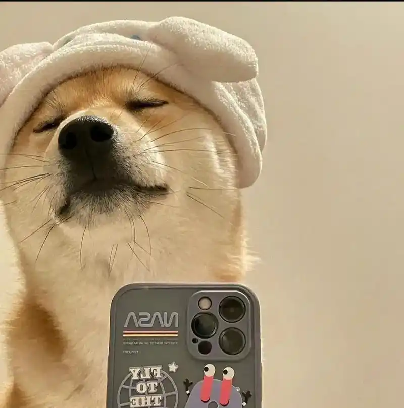 真正的大佬头像,单身狗头像,一周七天,一天一个!#优质男头 - 抖音