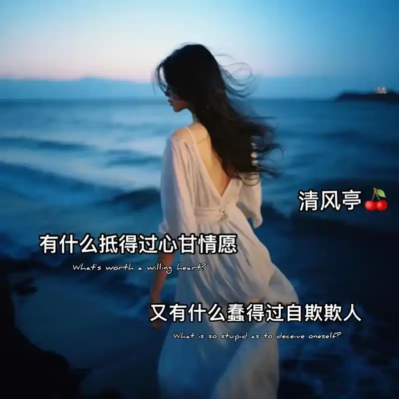 "有什么抵得过心甘情愿,又有什么蠢得过自欺欺人"#情感 #触 - 抖音