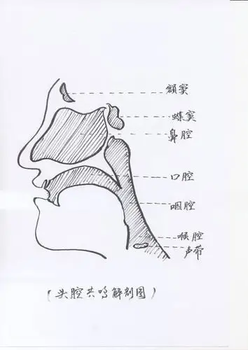 先上图: 1. 首先在sls里,头腔共鸣也被称作鼻腔共鸣.