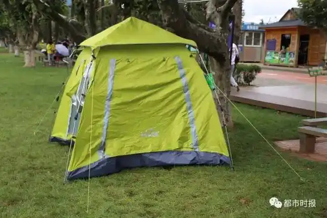 在海埂公园草坪支帐篷,垫子,吊床要收费!散步嬉戏不收钱