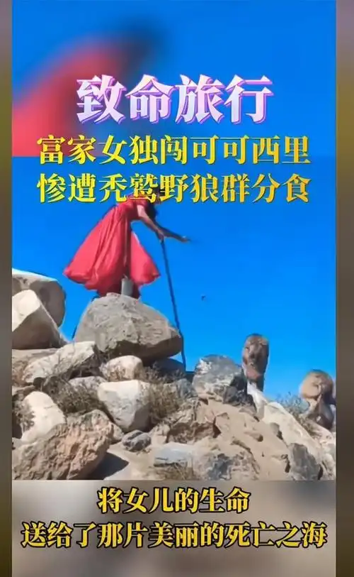 22岁女孩独闯可可西里无人区,狼一路紧盯,5天后被秃鹫分食