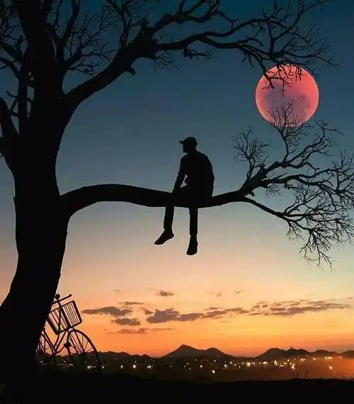 网上很火的伤感图片网上很火的伤感图片孤独