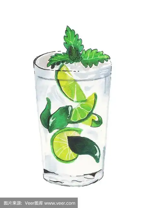 手绘插图.莫吉托.