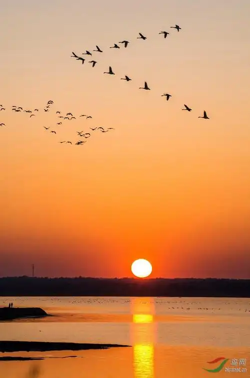 最美不过夕阳红