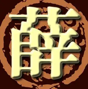 求~请高手帮忙做一个薛字头像,qq用.