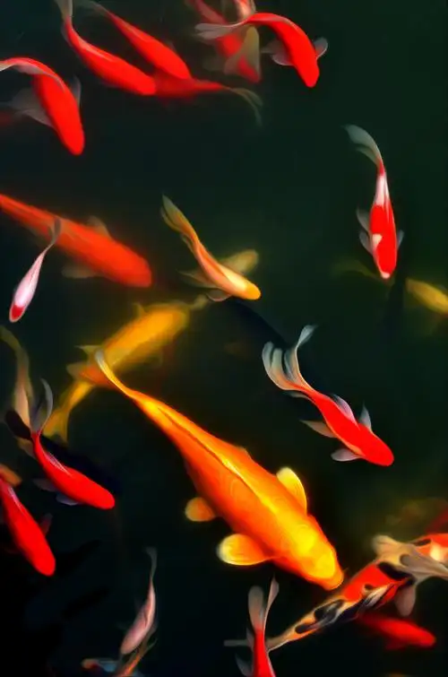 795_1200竖版 竖屏