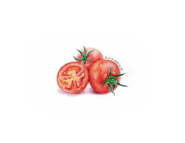 彩铅手绘——圣女果