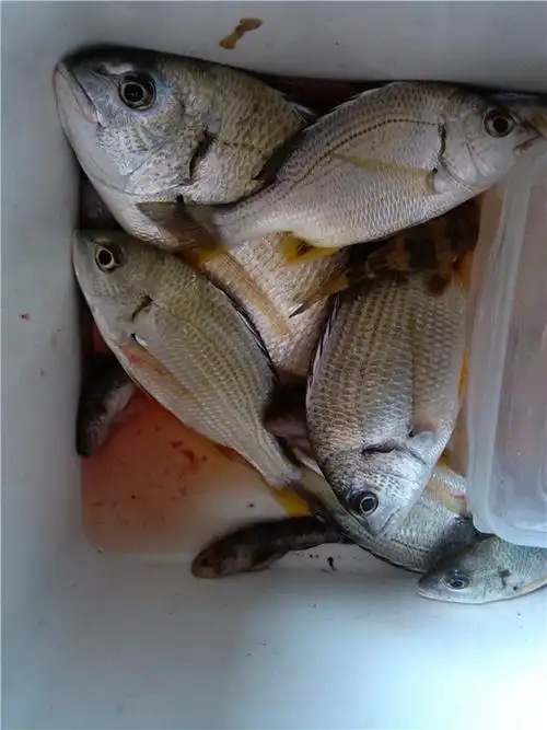 26沙角一日游. - 钓鱼部落-钦州360网 - 讲述老百姓身边的故事!