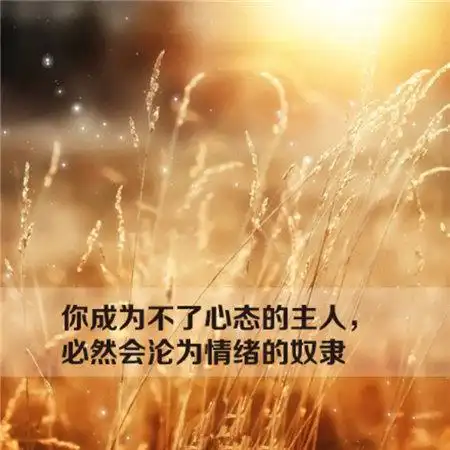 【哲理图片带字】100张人生哲理图片