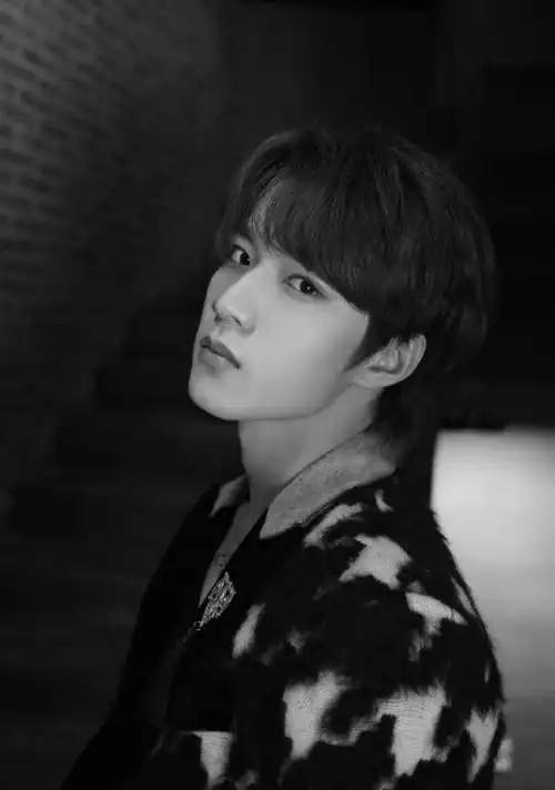 刘耀文黑白氛围感大片##刘耀文的项链好大