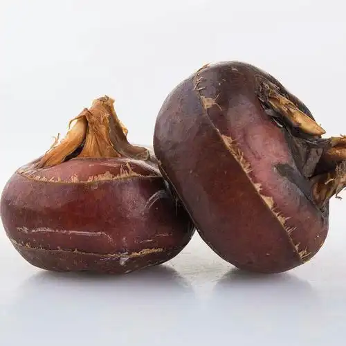 韶关特产始兴马蹄,乐昌马蹄,火热销售中批发零售