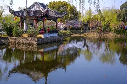 江南桃花《醉美蠡园》