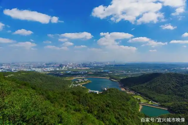 有一种水芹叫陶都牌水芹,宜兴万石镇水生蔬菜名气大了