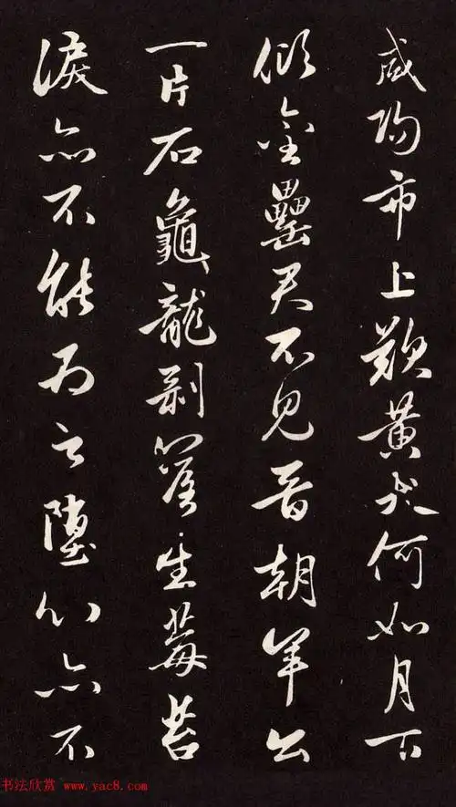 元朝赵孟頫行草书法欣赏《襄阳歌》(2)