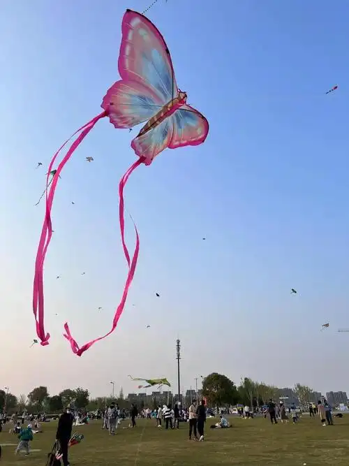 蝴蝶风筝真的太漂亮了!  #有没有人能管管潍坊的风筝啊