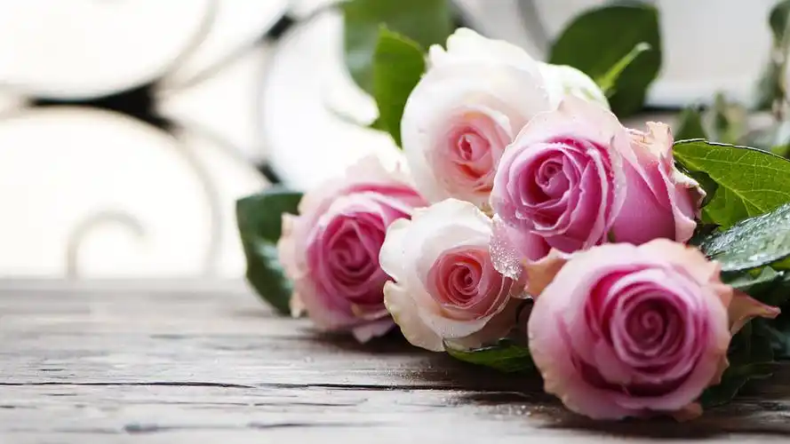 壁纸 粉红玫瑰,水滴,花束 2880x1800 hd 高清壁纸, 图片, 照片