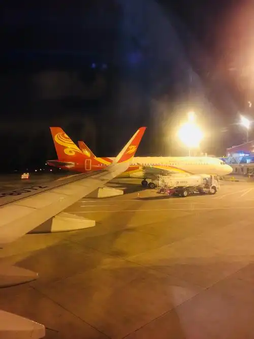 第八天(最后一天)赏丽江古城樱花,夜景,而后丽江机场乘飞机打道回津