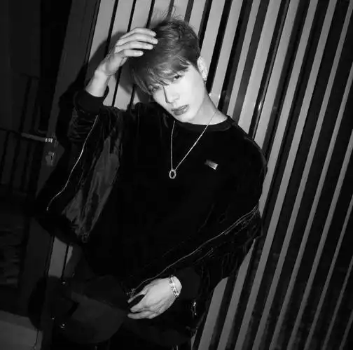 微信头像王嘉尔