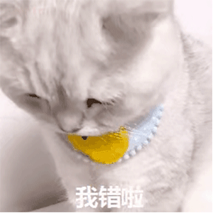 沙雕表情包可不可以跟生活请个假